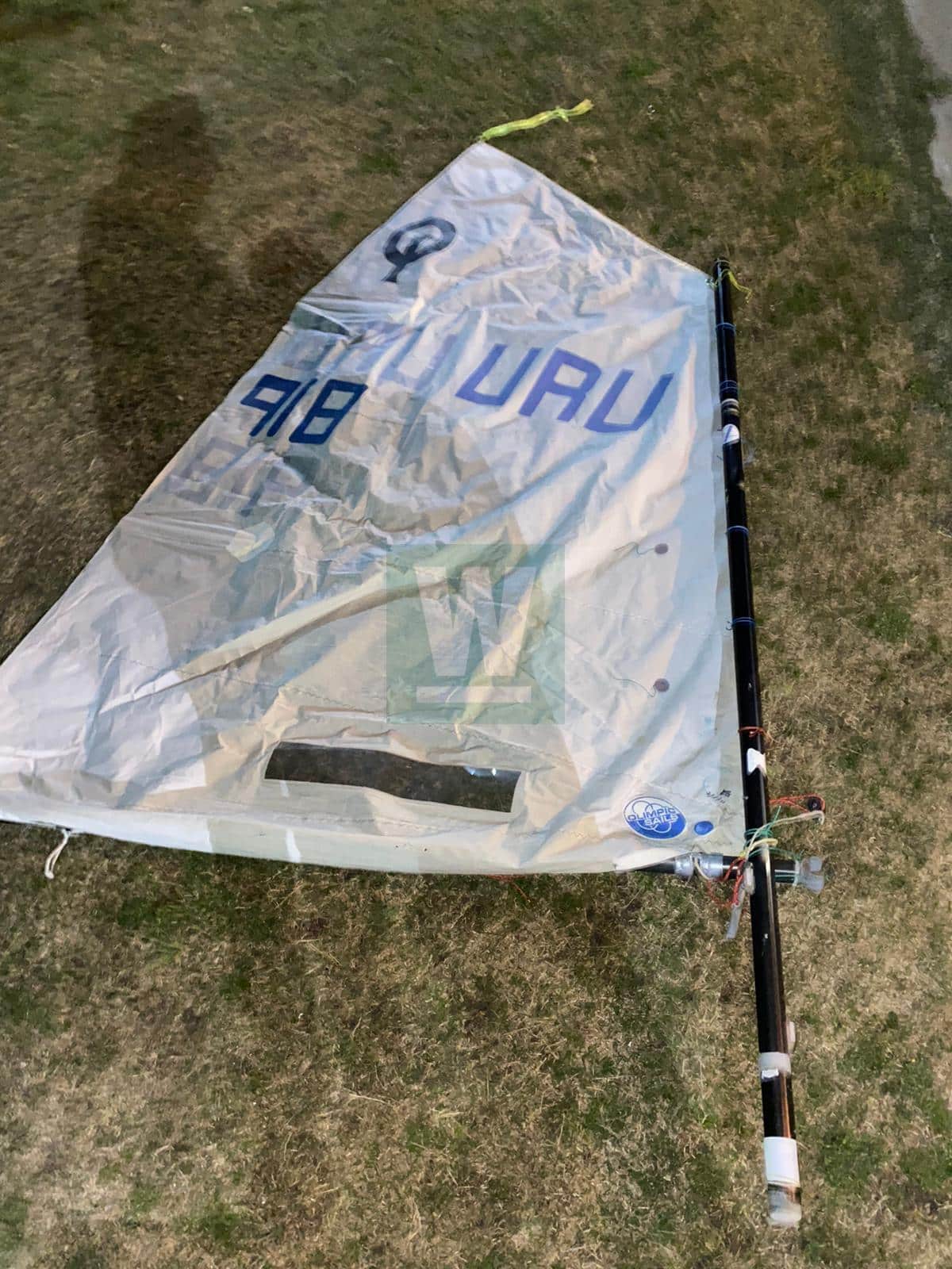 WhatsApp Image 2024-02-01 at 13.44.03